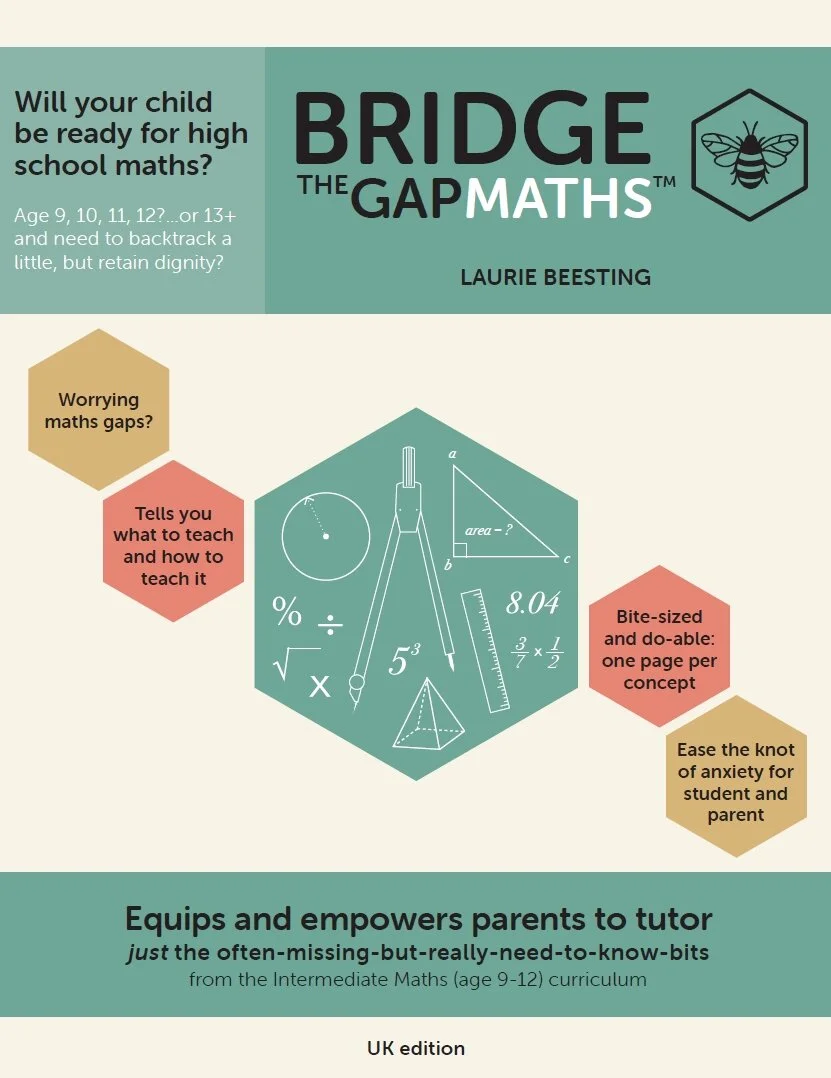 Bridge the Gap Maths™ Book - UK Edition — Bridge the Gap
